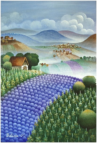 Lavender and vineyards